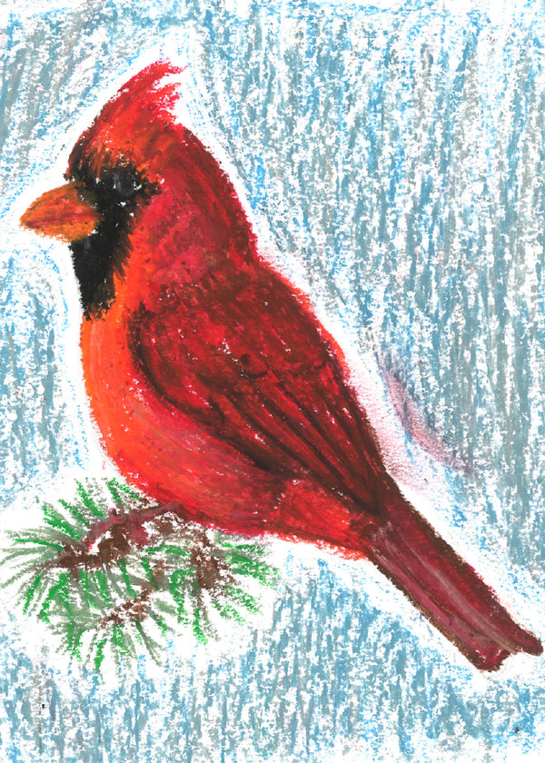 Winter Cardinal